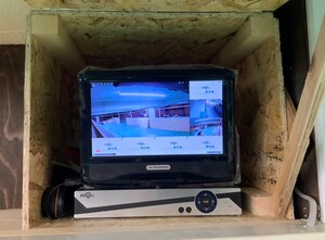 ���ȥ�����24���ִƻ뤷�Ƥ���Τǰ¿���������