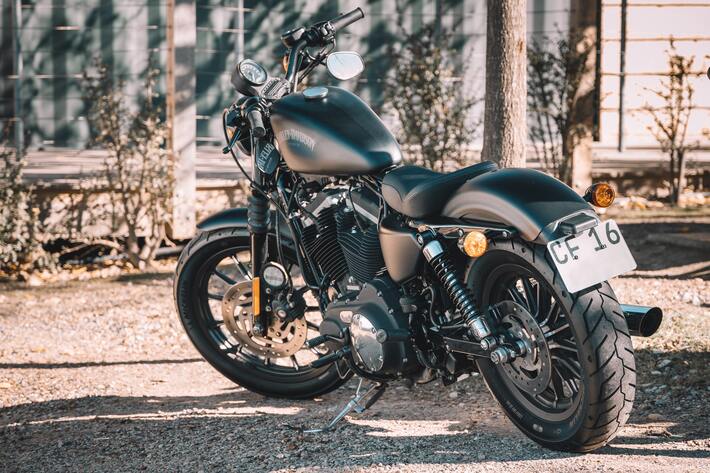 �Х����˥��饤���������夷��ž�ݤ�Ω���������鰦�֤��롪